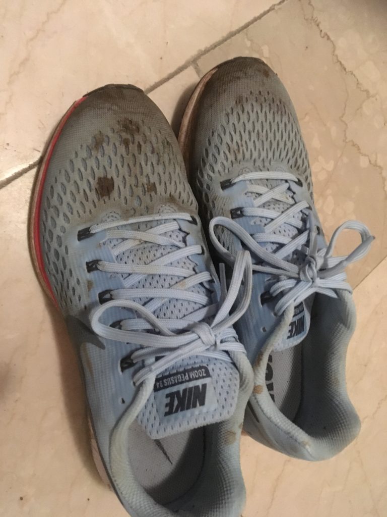 pegasus 34s
